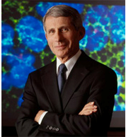 dr fauci photo